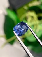3.40 Ct Certified Natural Blue Sapphire – Cornflower Blue | Cushion Cut | Sri Lanka Origin | No Heat | Untreated | GIA Certified