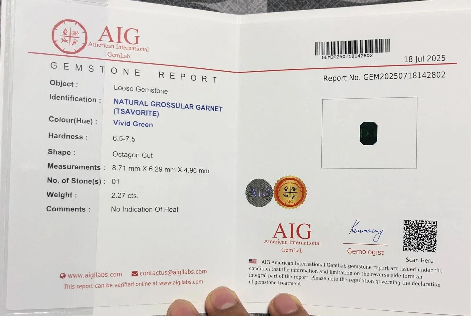 2.27ct Natural Tsavorite Garnet – Rich Vivid Green, Certified Loose Gemstone - GAIA GEMS