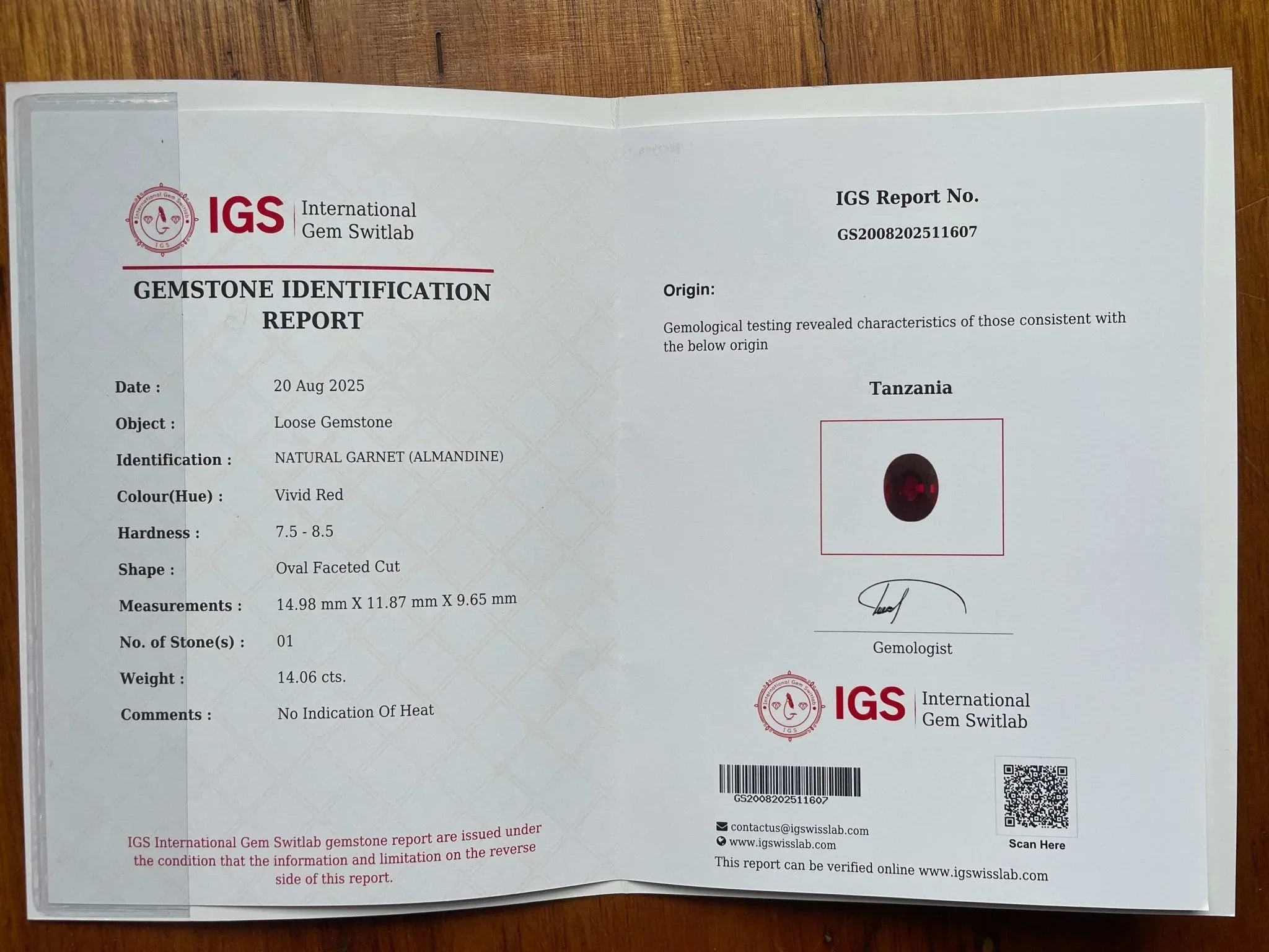 Certified 14.06 Ct Vivid Red Garnet with Pink Hue – Untreated, VS Clarity, Fancy Oval Cut – Ideal for High-End Jewelry or Collectors - GAIA GEMS