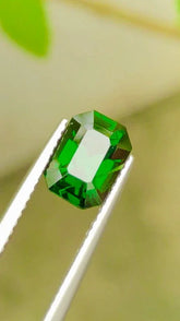 2.27ct Natural Tsavorite Garnet – Rich Vivid Green, Certified Loose Gemstone - GAIA GEMS