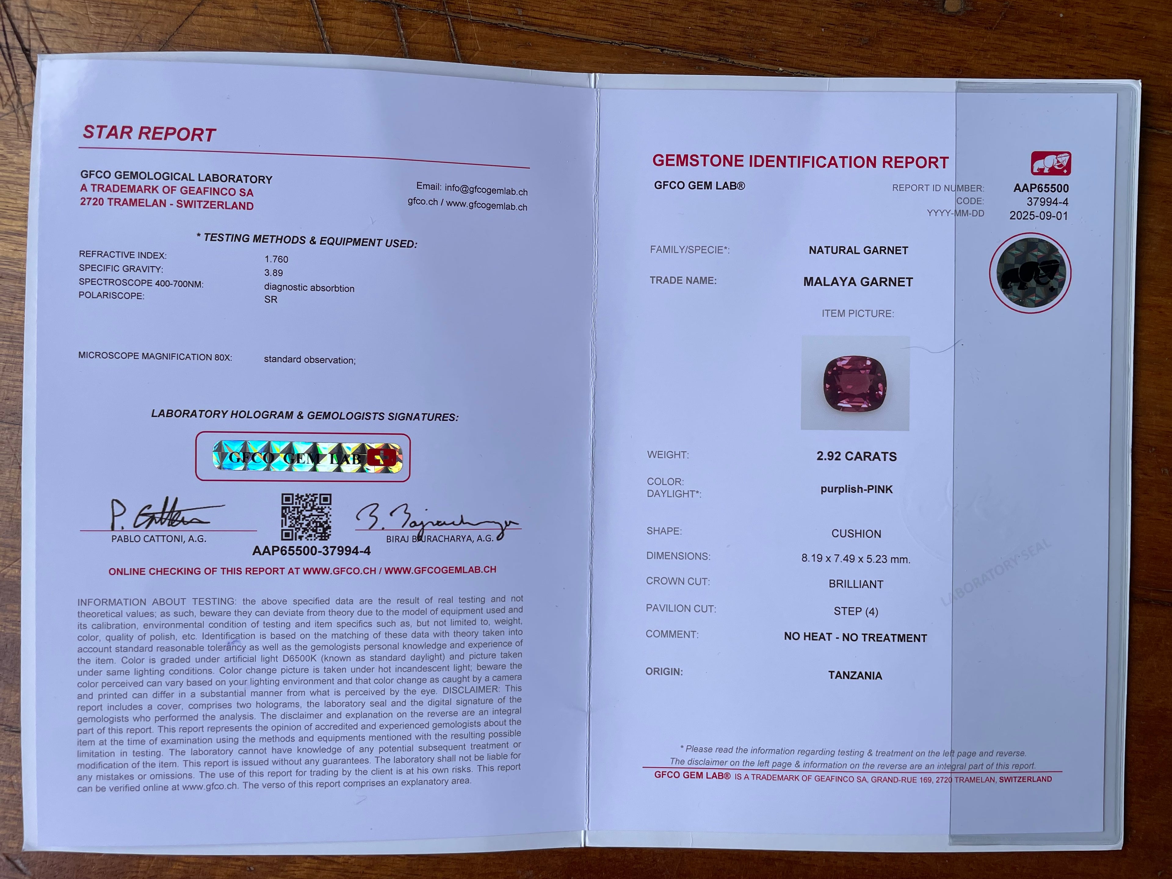 Rare Certified Malaya Garnet – 2.92 ct Cushion Cut | Unheated, VVS Pink Gem from Tanzania