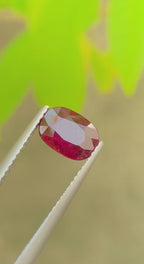 1.56 Ct Natural Pigeon Blood Ruby – No Heat | Fancy Cut | VS Clarity | Burma Origin (Top Quality)