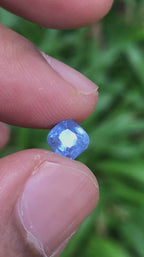 1.32 Ct Certified Blue Sapphire – Cornflower Blue | Cushion Cut | Sri Lanka Origin | Unheated | VS Clarity