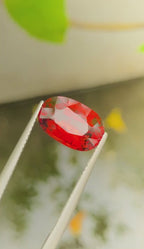 Certified Natural Spessartite Garnet – 5.69 Carats | Vivid Orange | VS Clarity | Fancy Round Cut | Untreated | AIG Certified